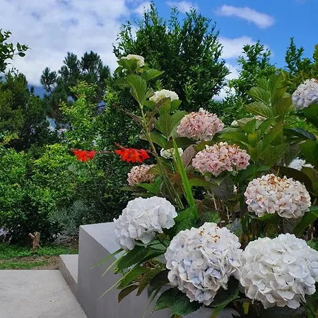 Apartament Mountain-ocean-view Madeira São Vicente